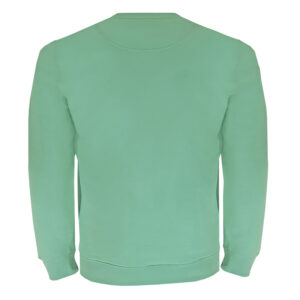 Cotton Dusty Mint Finish Sweater