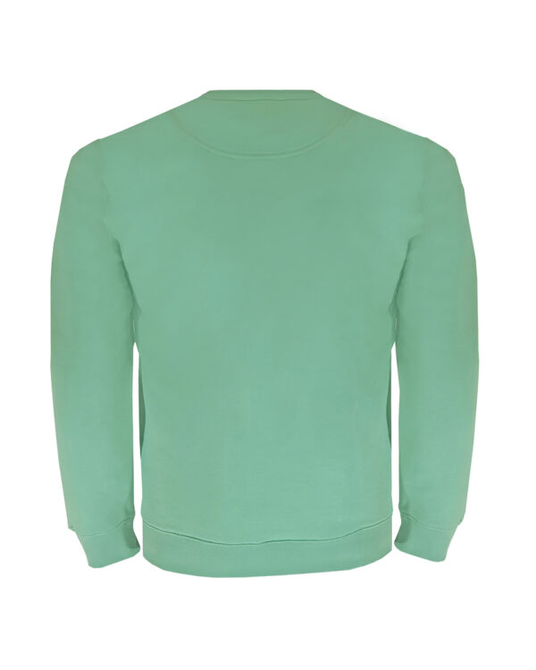 Cotton Dusty Mint Finish Sweater